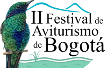 Logo de aviturismo